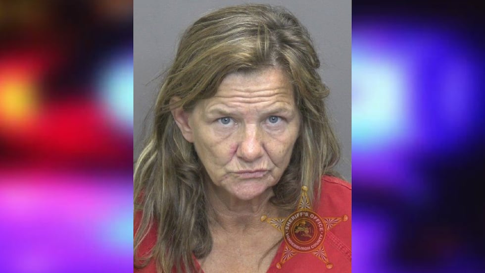 Deputies: Driver arrested after meth, pills found during traffic stop