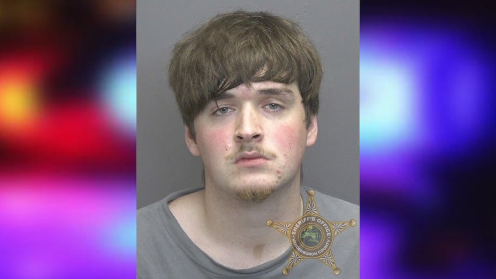 Man accused of pointing gun at victims at Evansville park