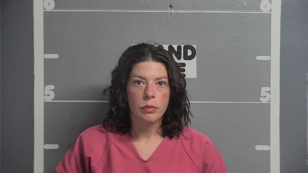 Ohio County woman accused of lunging at deputies with butcher knife, endangering children