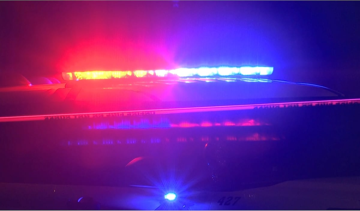 Woman Injured in Dog Attack Near Evansville Apartment Complex; Pet Stolen from Pennsylvania Grocery Store Parking Lot