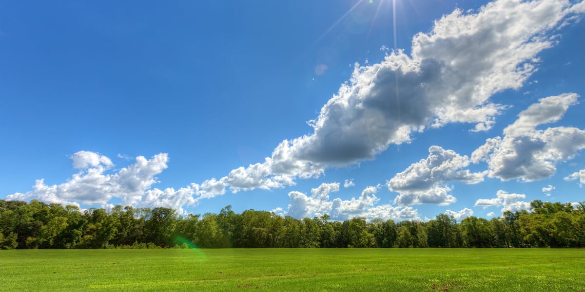 Sunny, pleasant weather on the horizon