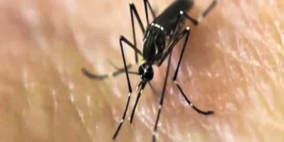 Vanderburgh Co. Health Dept. confirms West Nile Virus related death