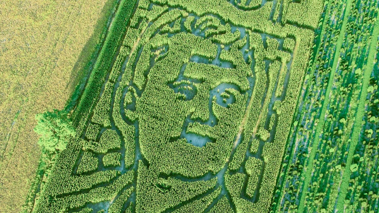 Mase Layout Goebel Farms honors Charlie Kirk with corn maze design
