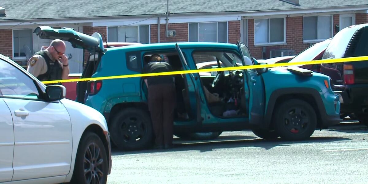 5-year-old at center of Amber Alert does not exist, abduction story was ...