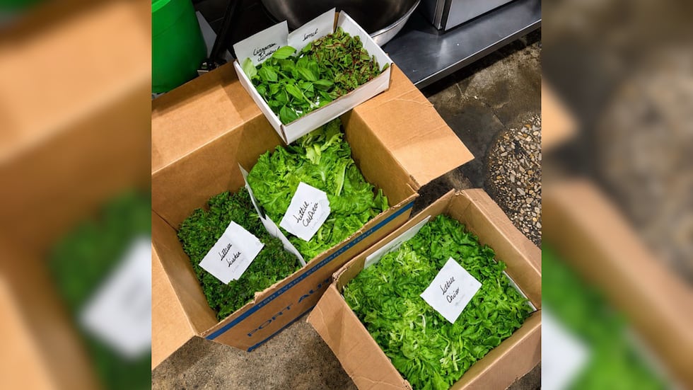We Grow Aces Initiative Completes First Harvest Delivery