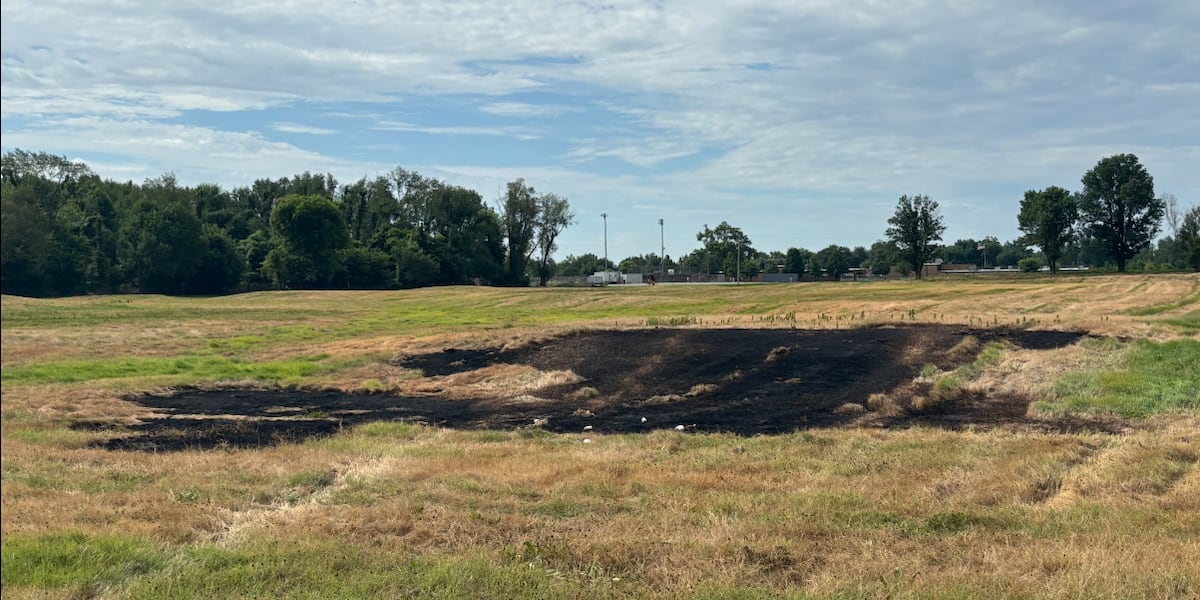 Property close to Wesselman Woods damaged after being set on fire