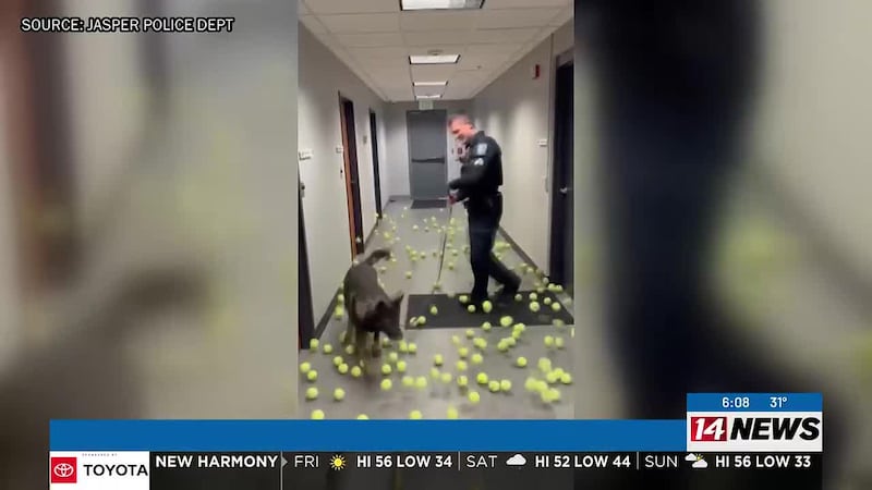 K-9 officers retires from Jasper Police Dept.